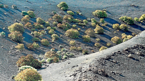 548bc0adba00d.jpg 548bc0adba00d.jpg