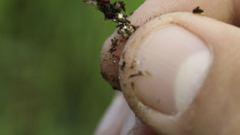 548b5e31ec261.jpg 548b5e31ec261.jpg