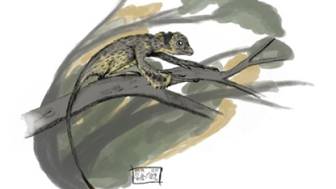 548addf5876de.jpg 548addf5876de.jpg