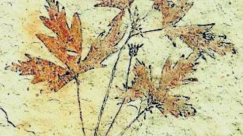 548c1a2e4af05.jpg 548c1a2e4af05.jpg