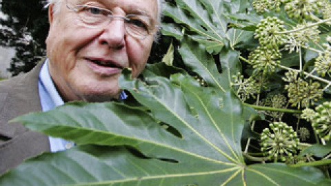 548bed2c59786.jpg 548bed2c59786.jpg