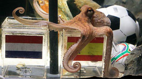 548bc1e0733fb.jpg 548bc1e0733fb.jpg