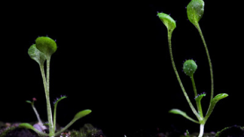 548c45061586f.jpg 548c45061586f.jpg