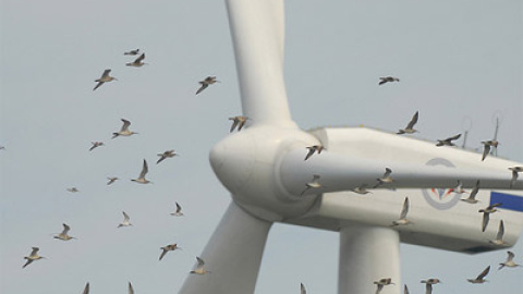 548b0ceb7629b.jpg 548b0ceb7629b.jpg