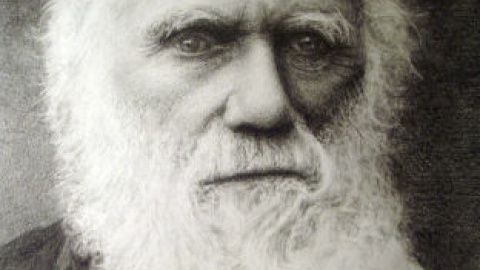 548b3a41e79a9.jpg 548b3a41e79a9.jpg