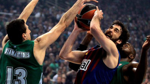 548b600419e6c.jpg 548b600419e6c.jpg