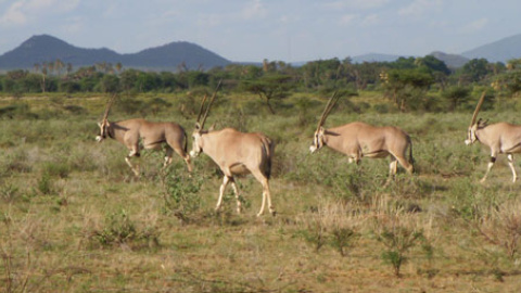 548c45f9a9b16.jpg 548c45f9a9b16.jpg