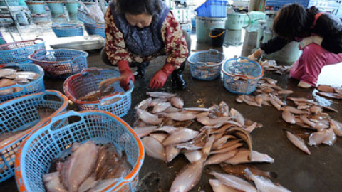 548c1c06439fb.jpg 548c1c06439fb.jpg