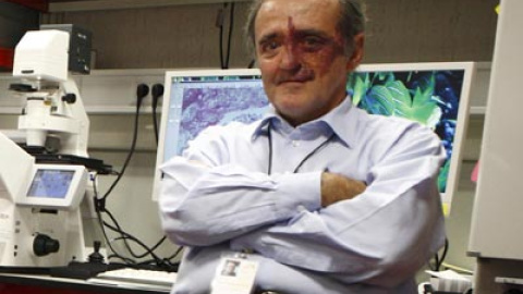 548bc3dfc1c77.jpg 548bc3dfc1c77.jpg