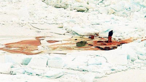 548c8f73ae0f4.jpg 548c8f73ae0f4.jpg