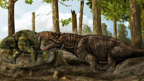 548b0e9a0063b.jpg 548b0e9a0063b.jpg