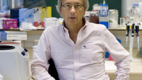 548bf05613ba8.jpg 548bf05613ba8.jpg