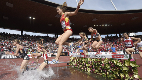 548ae1c427eaf.jpg 548ae1c427eaf.jpg