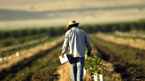 548c1e4086a2f.jpg 548c1e4086a2f.jpg