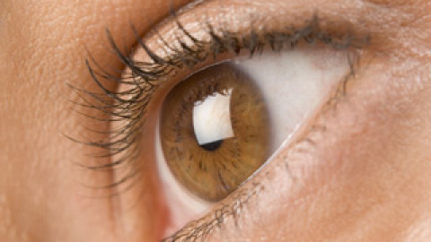 548b10b384836.jpg 548b10b384836.jpg