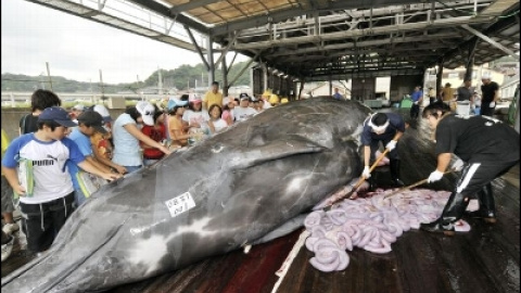 548b3e5ddc139.jpg 548b3e5ddc139.jpg