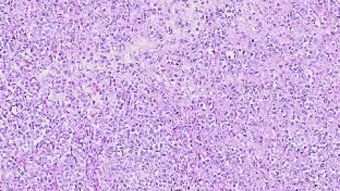 548c1fab3fde9.jpg 548c1fab3fde9.jpg