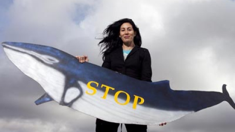 548bf233b51ab.jpg 548bf233b51ab.jpg