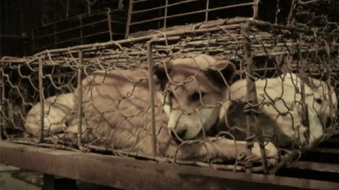 548b63886429e.jpg 548b63886429e.jpg