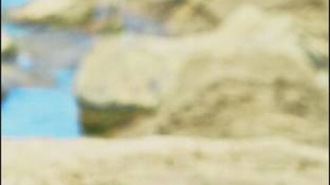 548bf30e7d922.jpg 548bf30e7d922.jpg