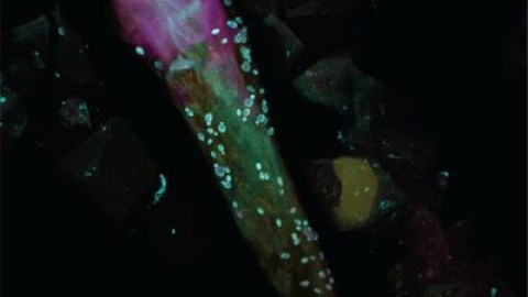 548b6496460ba.jpg 548b6496460ba.jpg