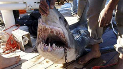 548bf3845fce0.jpg 548bf3845fce0.jpg