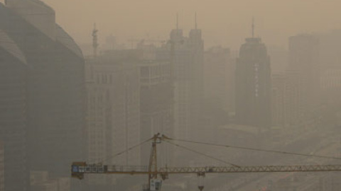 548b129cf21e5.jpg 548b129cf21e5.jpg