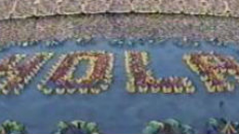 548b3fefc421c.jpg 548b3fefc421c.jpg