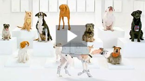 548b13f28a943.jpg 548b13f28a943.jpg