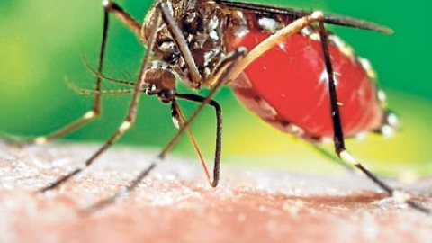 548c22cb56351.jpg 548c22cb56351.jpg