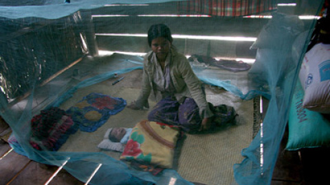 548c22d1f0311.jpg 548c22d1f0311.jpg