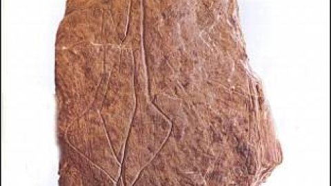 548bcab998328.jpg 548bcab998328.jpg