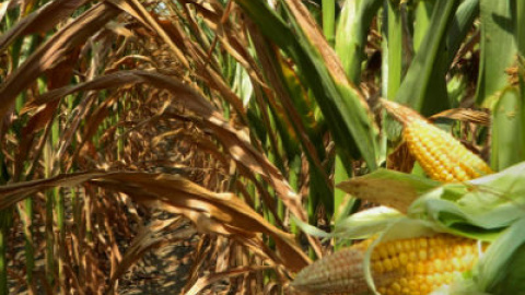 548b41d274d0d.jpg 548b41d274d0d.jpg