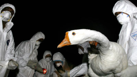 548b1502767fe.jpg 548b1502767fe.jpg