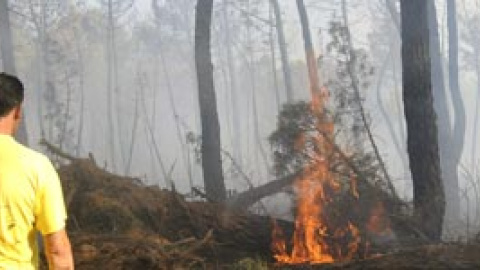 548b42802aee3.jpg 548b42802aee3.jpg