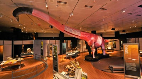 548c2497230b5.jpg 548c2497230b5.jpg