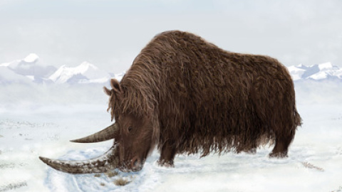 548c4eba30178.jpg 548c4eba30178.jpg