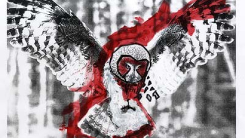 548bcc8466897.jpg 548bcc8466897.jpg