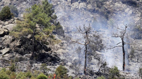 548b431f75b7f.jpg 548b431f75b7f.jpg