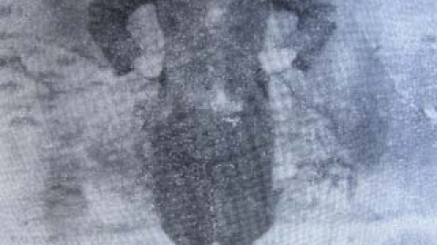 548bccdf45369.jpg 548bccdf45369.jpg