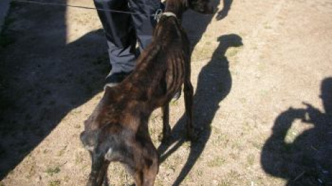 548aea67b67d4.jpg 548aea67b67d4.jpg