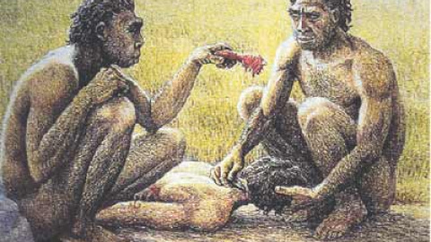 548b43c56e26d.jpg 548b43c56e26d.jpg