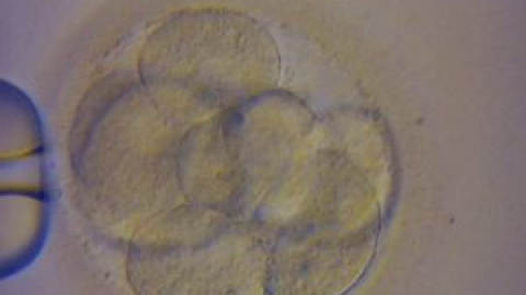 548c98941b9a1.jpg 548c98941b9a1.jpg