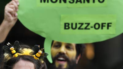 548c506075c15.jpg 548c506075c15.jpg