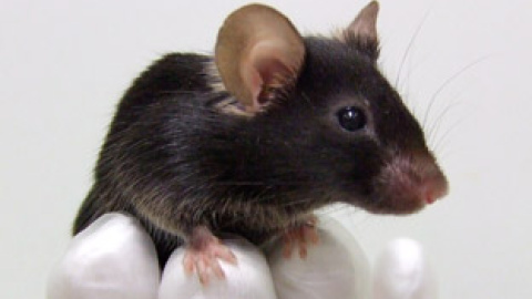 548bf8bde3ac7.jpg 548bf8bde3ac7.jpg