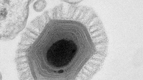 548aec3b54c51.jpg 548aec3b54c51.jpg