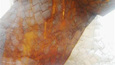 548b45500bc3a.jpg 548b45500bc3a.jpg