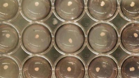 548b6a955c99a.jpg 548b6a955c99a.jpg