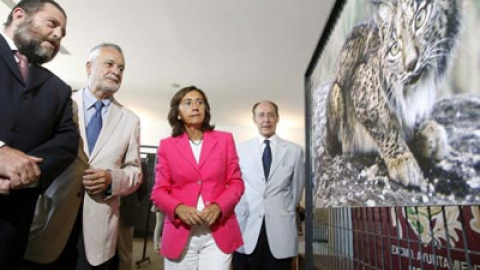 548c5186e4115.jpg 548c5186e4115.jpg