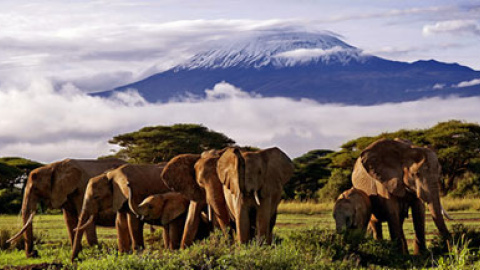 548bfa0d6ba45.jpg 548bfa0d6ba45.jpg